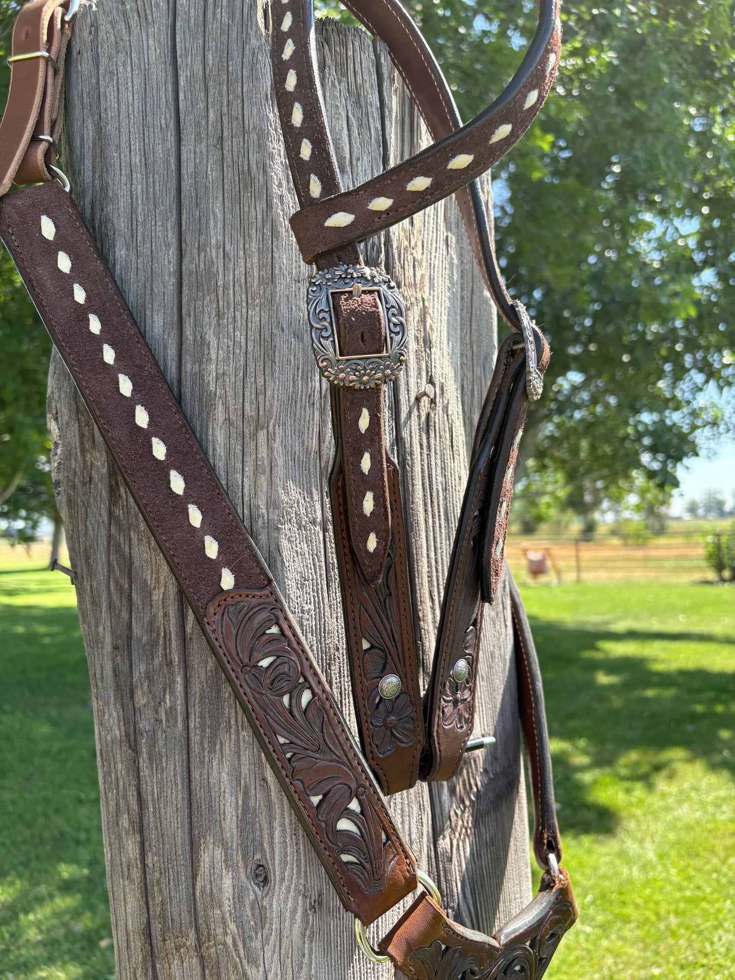 Breastcollar/one ear headstall