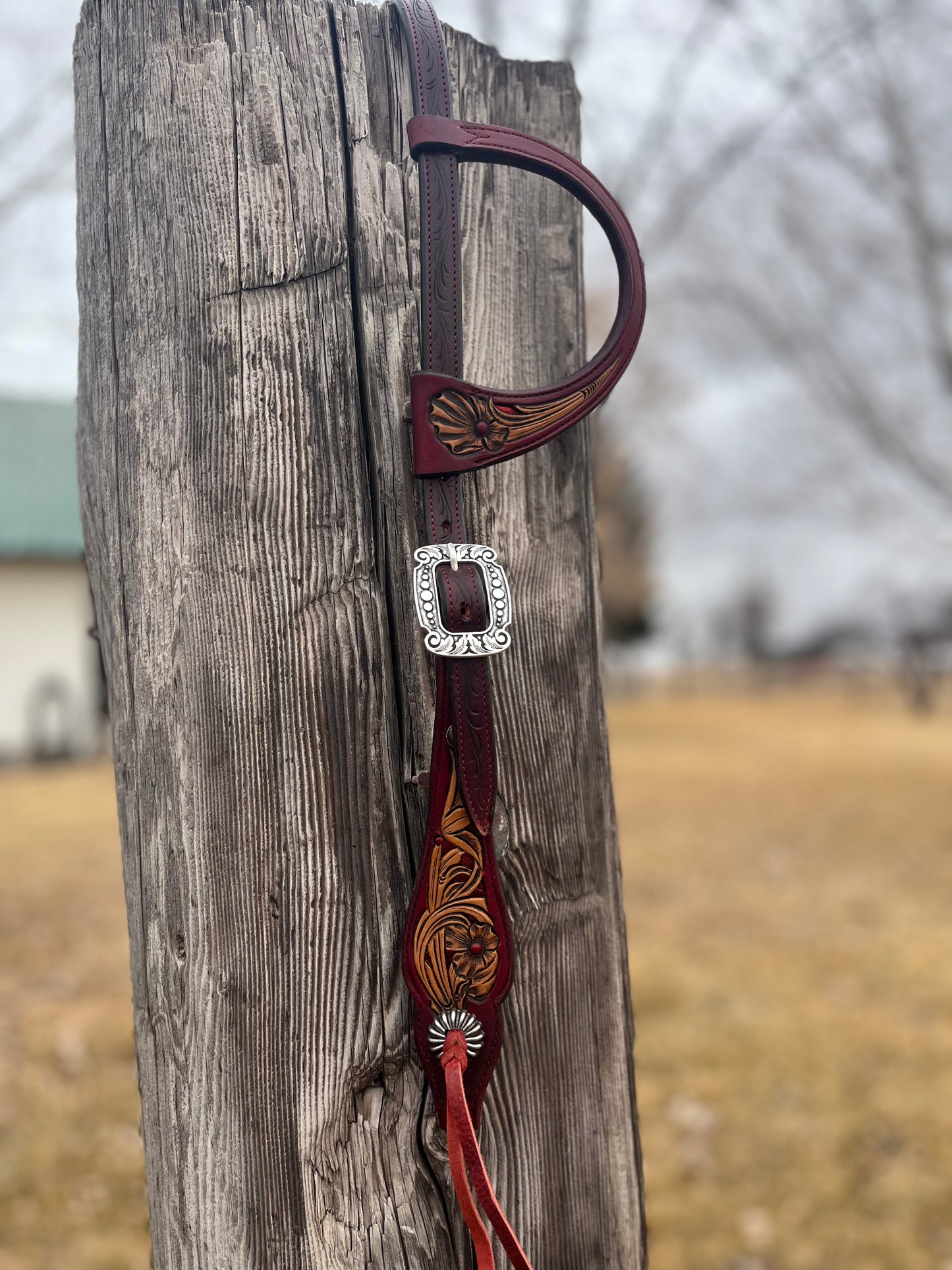 One ear headstall