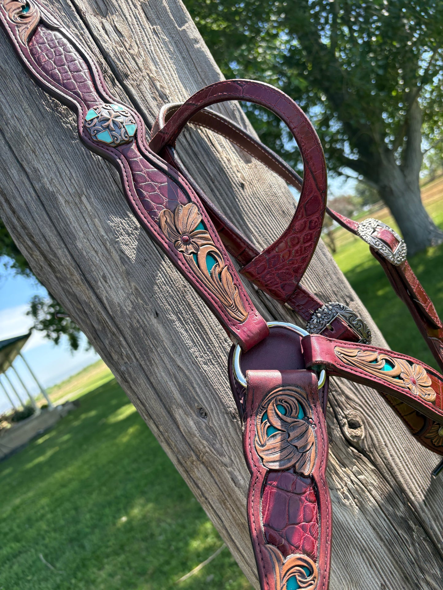 Breastcollar/one ear headstall